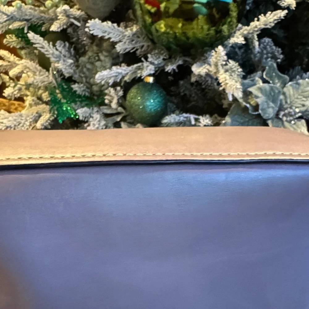 Dooney & Bourke Leather Crossbody Bag - Picture 10 of 12